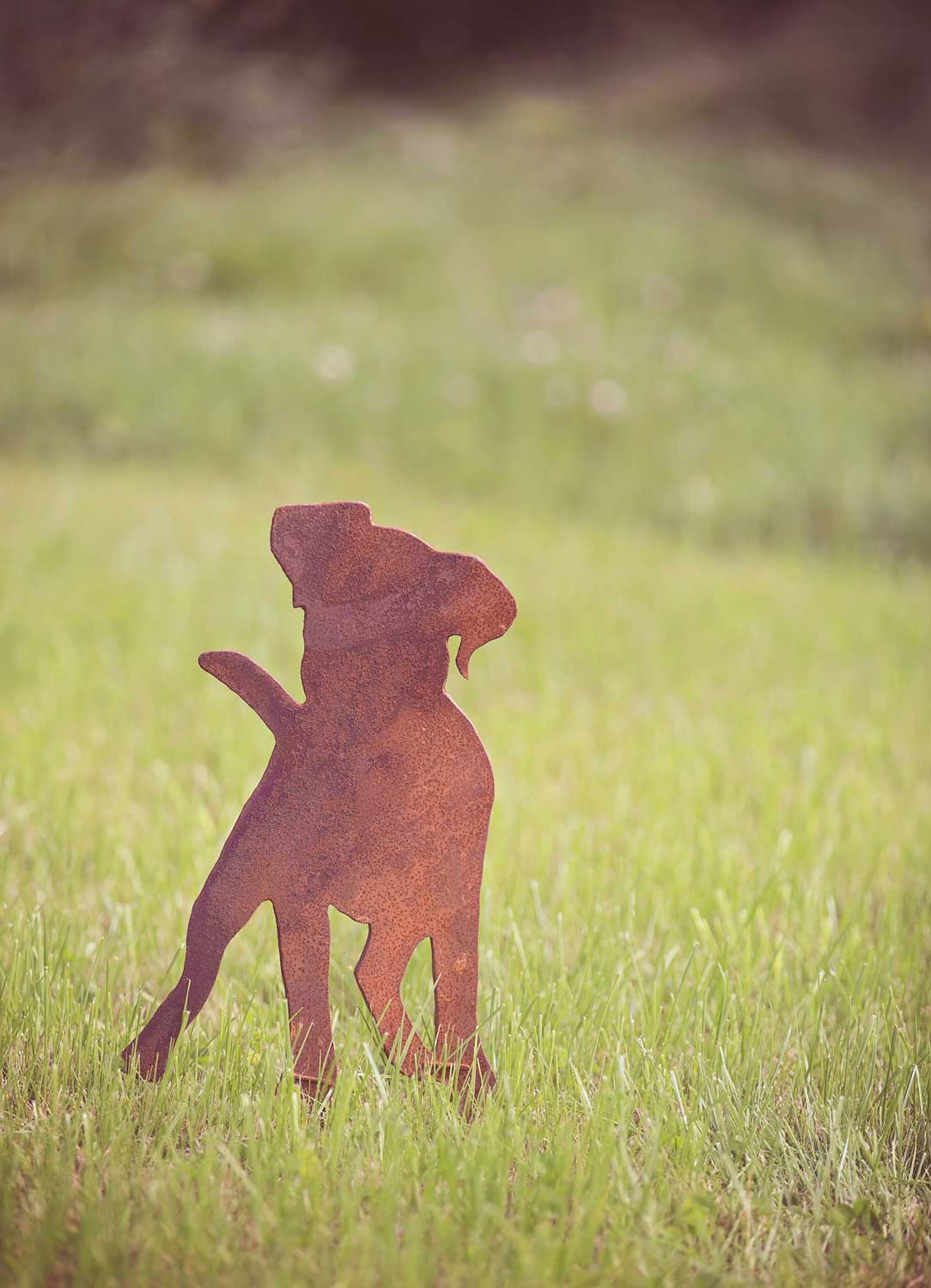 silhouet nieuwsgierig hond hondje tuindecoratie staal metaal